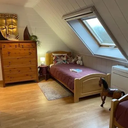 Дом отдыха Familial Le Sauvage A 10 Minutes Pairi Daiza Piscine Et Chiens Ok Chievres