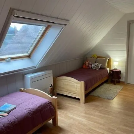 Familial Le Sauvage A 10 Minutes Pairi Daiza Piscine Et Chiens Ok Дом отдыха