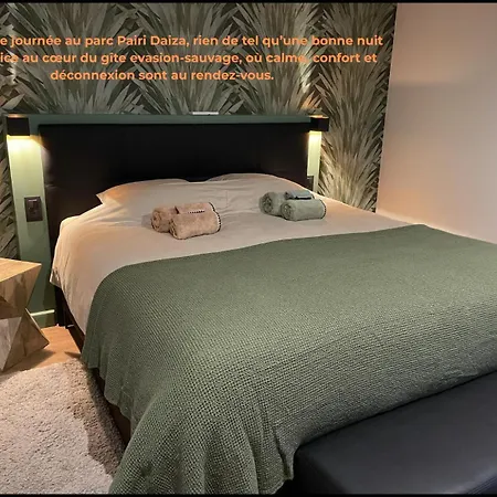 Tatil Evi Familial Le Sauvage A 10 Minutes Pairi Daiza Piscine, Chiens Ok *