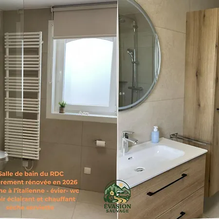Familial Le Sauvage A 10 Minutes Pairi Daiza Piscine, Chiens Ok Tatil Evi Chievres