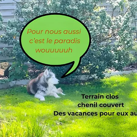 Familial Le Sauvage A 10 Minutes Pairi Daiza Piscine, Chiens Ok *
